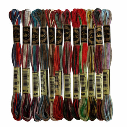 12 Skeins of Magical Color Variations Embroidery Floss Pack