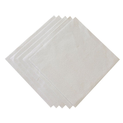 14 Count Iridescent Aida Cross Stitch Fabric – Sparkle White Pre-Cut Cloths, 11.8 x 11.8 Inch Squares, Set of 5 Pieces