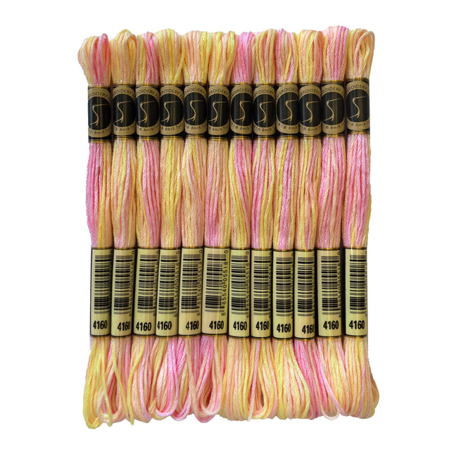 Variegated Thread, 8.7-Yard, Pack of 12 Skeins, Glistening Pearl