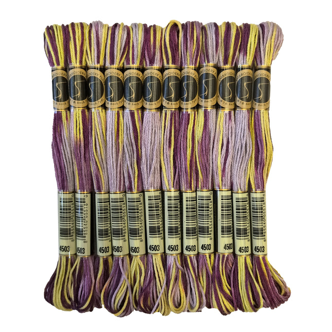 Variegated Thread, 8.7-Yard, Pack of 12 Skeins, Wisteria
