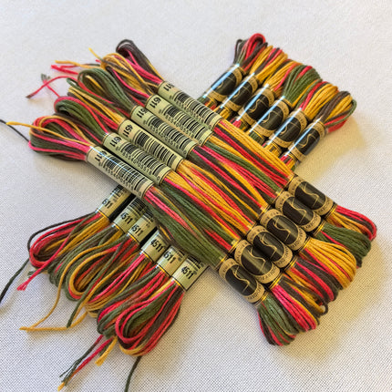 Variegated Thread, 8.7-Yard, Pack of 12 Skeins, Indian Summer