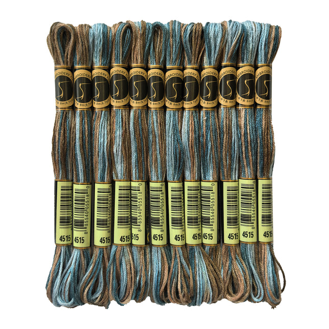 Variegated Thread, 8.7-Yard, Pack of 12 Skeins,Paris