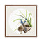 Embroidery Kits