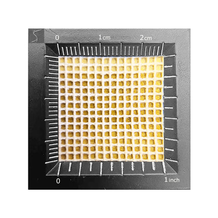 14CT Mono Interlock Canvas, White