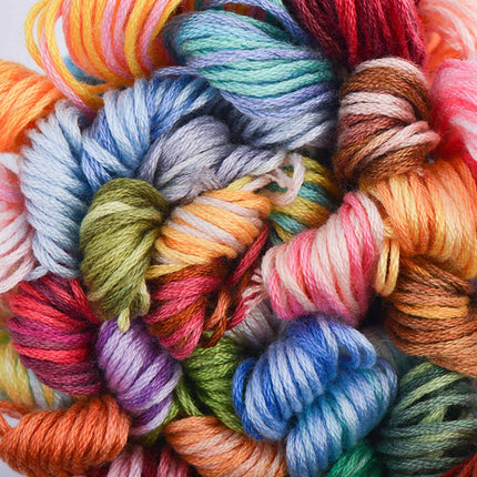 24 Skeins of A Rainbow of Variegated Cross Stitch Threads