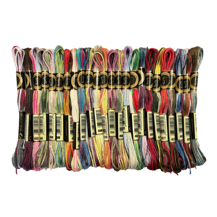 24 Skeins of A Rainbow of Variegated Cross Stitch Threads