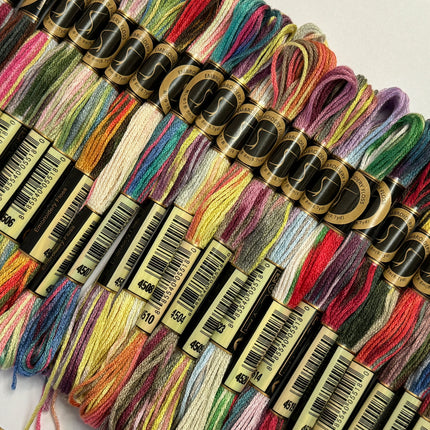 24 Skeins of A Rainbow of Variegated Cross Stitch Threads